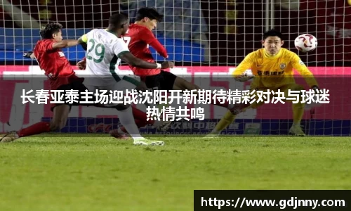 长春亚泰主场迎战沈阳开新期待精彩对决与球迷热情共鸣